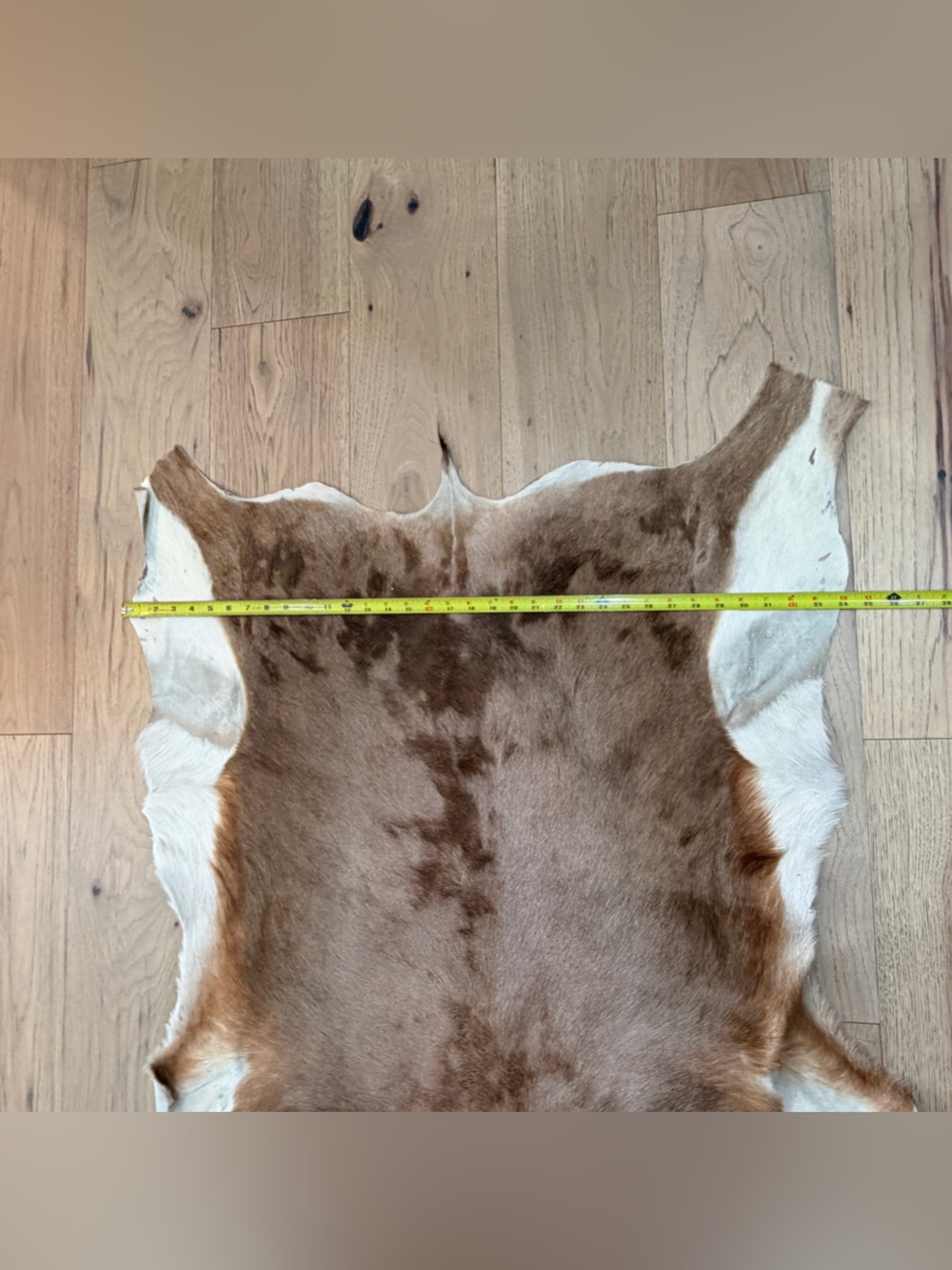 Vintage Genuine Goatskin Hide Rug Mallorca Spain Brown & White Hair-On Hide - Picture 10 of 11